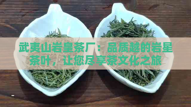 武夷山岩皇茶厂：品质越的岩星茶叶，让您尽享茶文化之旅