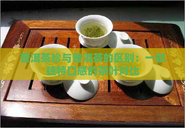 普洱茶珍与普洱茶的区别：一款独特口感的茶叶对比