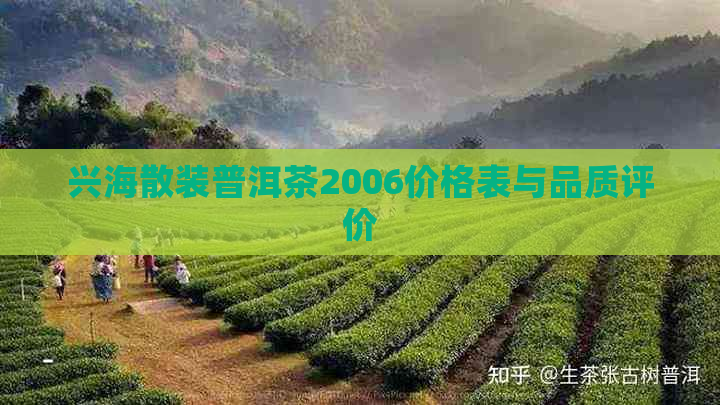 兴海散装普洱茶2006价格表与品质评价