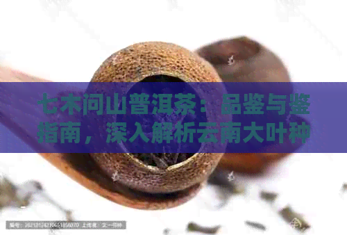 七木问山普洱茶：品鉴与鉴指南，深入解析云南大叶种茶叶的独特魅力