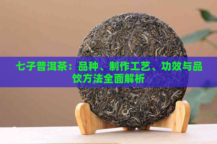 七子普洱茶：品种、制作工艺、功效与品饮方法全面解析