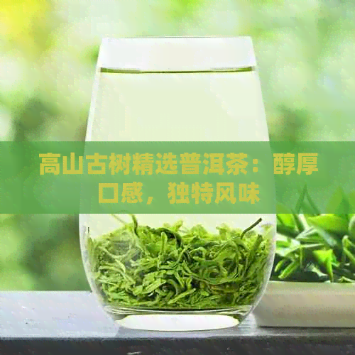 高山古树精选普洱茶：醇厚口感，独特风味