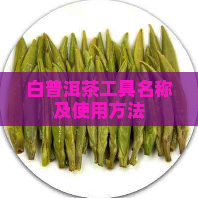 白普洱茶工具名称及使用方法