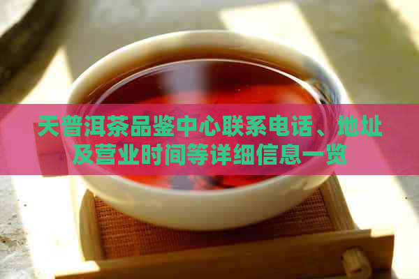 天普洱茶品鉴中心联系电话、地址及营业时间等详细信息一览