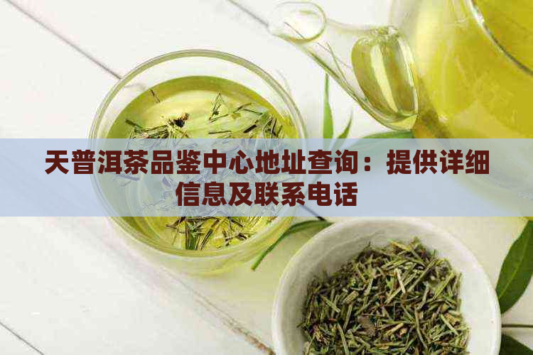 天普洱茶品鉴中心地址查询：提供详细信息及联系电话