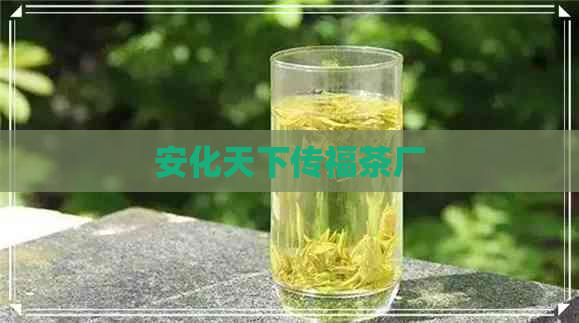 安化天下传福茶厂