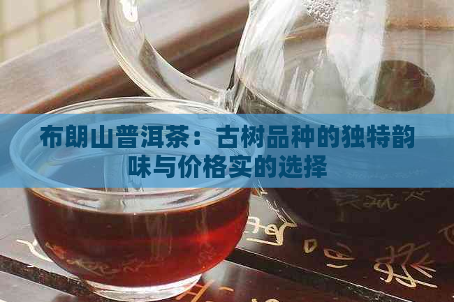 布朗山普洱茶：古树品种的独特韵味与价格实的选择