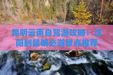 昆明云南自驾游攻略：沈阳到昆明必游景点推荐