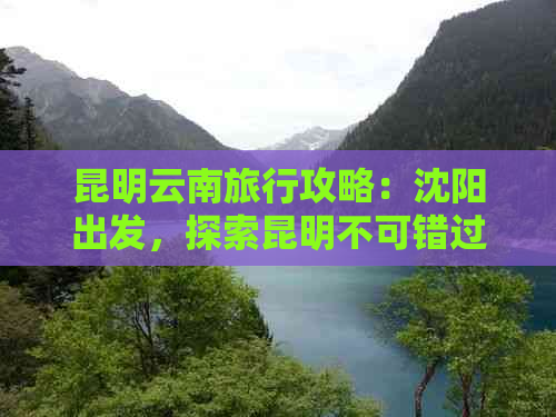 昆明云南旅行攻略：沈阳出发，探索昆明不可错过的交通、住宿与景点推荐