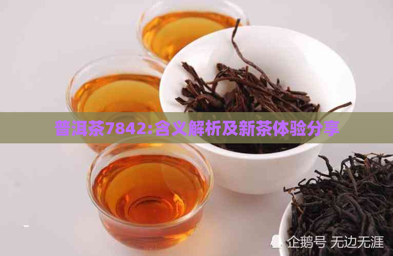 普洱茶7842:含义解析及新茶体验分享