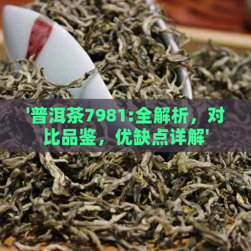 '普洱茶7981:全解析，对比品鉴，优缺点详解'