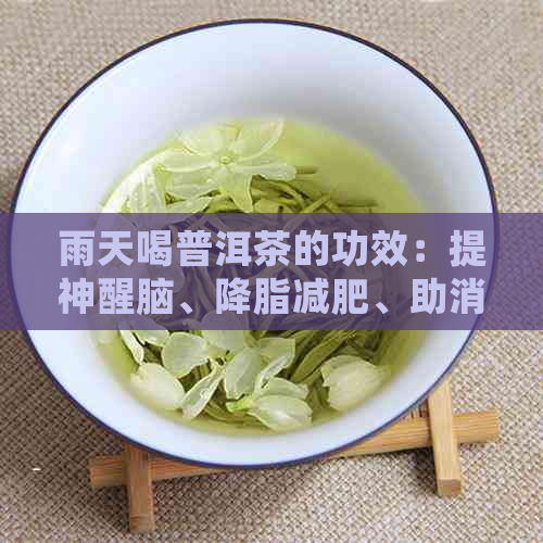 雨天喝普洱茶的功效：提神醒脑、降脂减肥、助消化