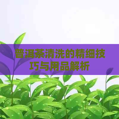 普洱茶清洗的精细技巧与用品解析