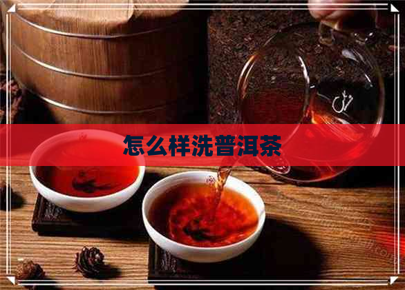 怎么样洗普洱茶