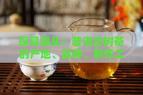 探寻源头：普洱古树茶的产地、品种、制作工艺及品饮技巧全面解析