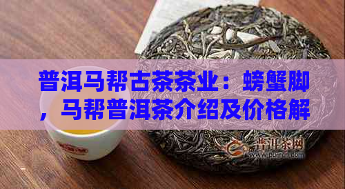 普洱马帮古茶茶业：螃蟹脚，马帮普洱茶介绍及价格解析