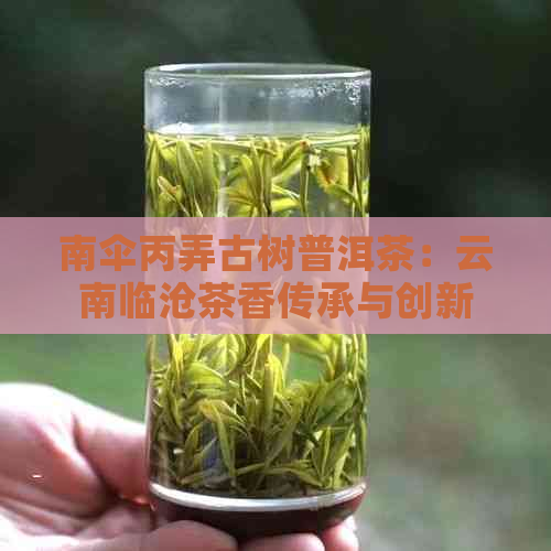 南伞丙弄古树普洱茶：云南临沧茶香传承与创新