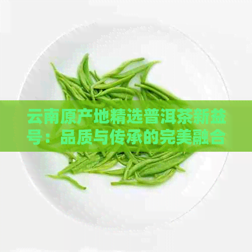 云南原产地精选普洱茶新益号：品质与传承的完美融合