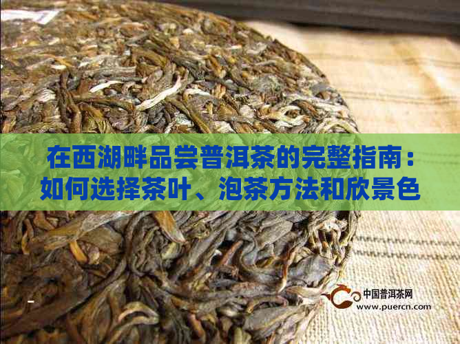 在西湖畔品尝普洱茶的完整指南：如何选择茶叶、泡茶方法和欣景色