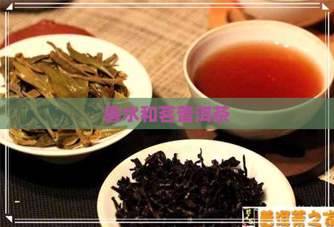 善水和茗普洱茶