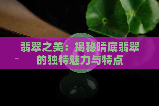 翡翠之美：揭秘晴底翡翠的独特魅力与特点