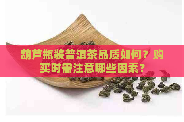 葫芦瓶装普洱茶品质如何？购买时需注意哪些因素？