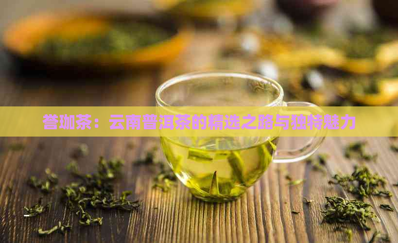 誉珈茶：云南普洱茶的精选之路与独特魅力