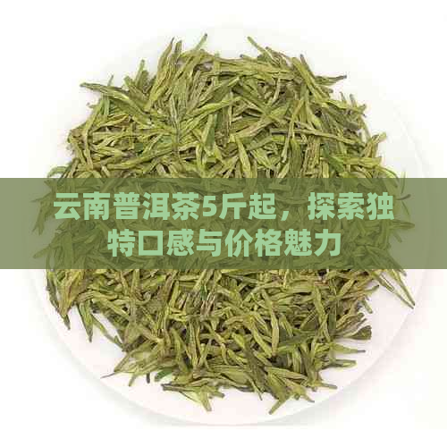 云南普洱茶5斤起，探索独特口感与价格魅力