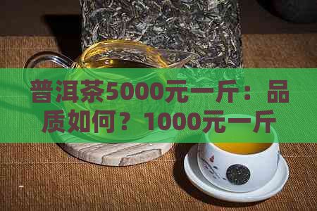 普洱茶5000元一斤：品质如何？1000元一斤贵不贵？