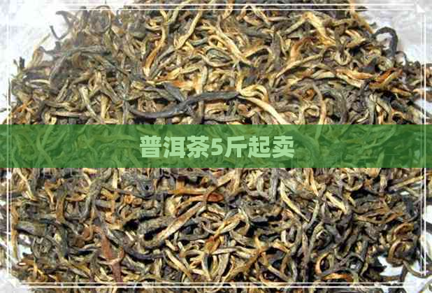 普洱茶5斤起卖