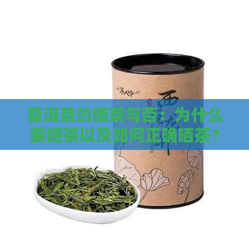 普洱茶的晒茶与否：为什么要晒茶以及如何正确晒茶？