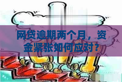 网贷逾期两个月，资金紧张如何应对？