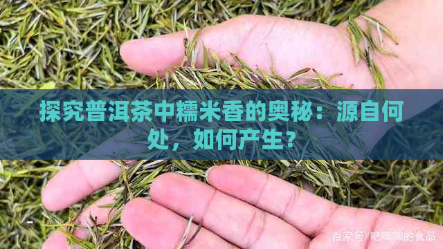 探究普洱茶中糯米香的奥秘：源自何处，如何产生？