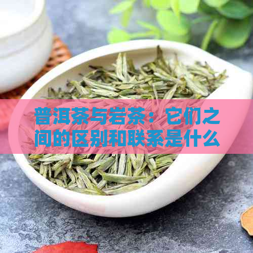 普洱茶与岩茶：它们之间的区别和联系是什么？