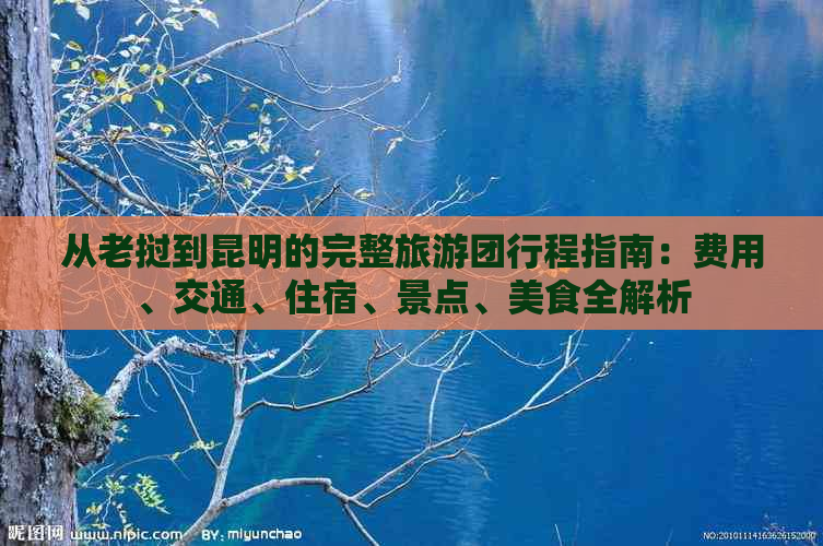 从老挝到昆明的完整旅游团行程指南：费用、交通、住宿、景点、美食全解析