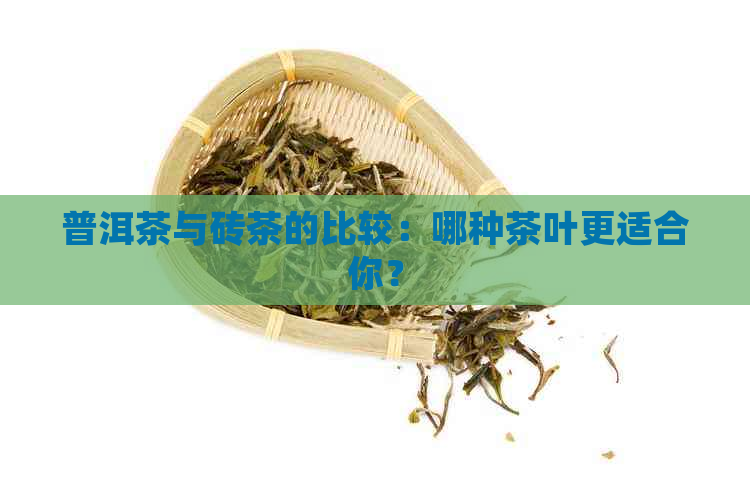 普洱茶与砖茶的比较：哪种茶叶更适合你？