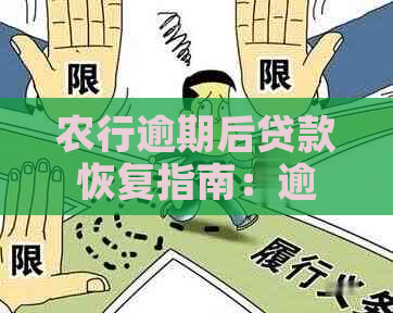 农行逾期后贷款恢复指南：逾期记录对后续贷款申请的影响及安全措