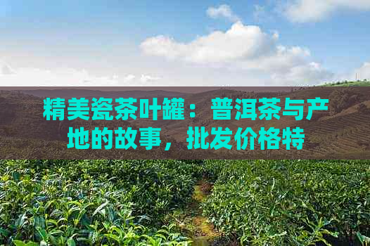 精美瓷茶叶罐：普洱茶与产地的故事，批发价格特