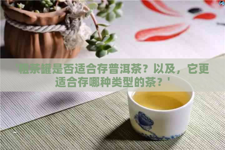 '粗茶罐是否适合存普洱茶？以及，它更适合存哪种类型的茶？'