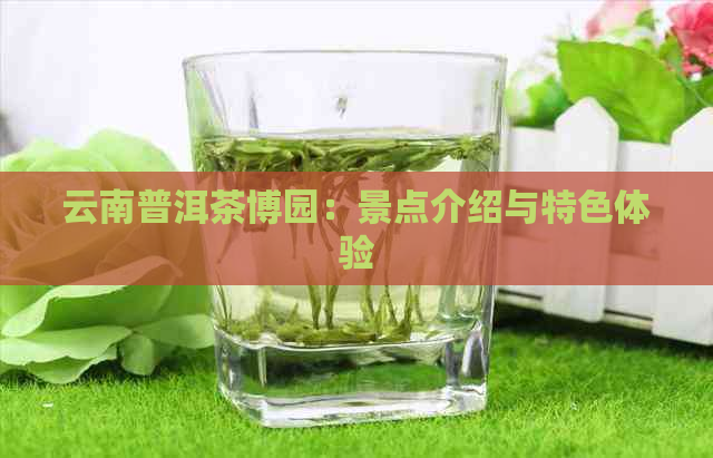 云南普洱茶博园：景点介绍与特色体验