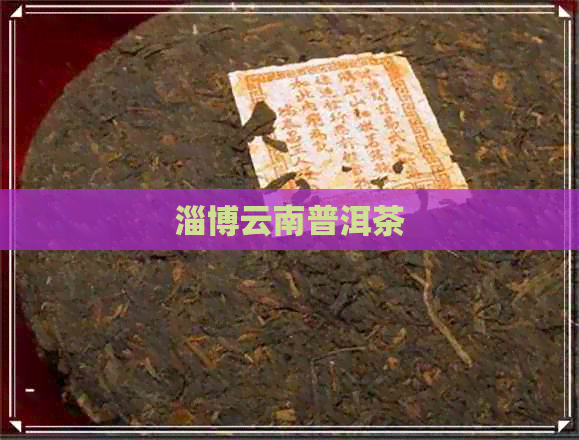 淄博云南普洱茶