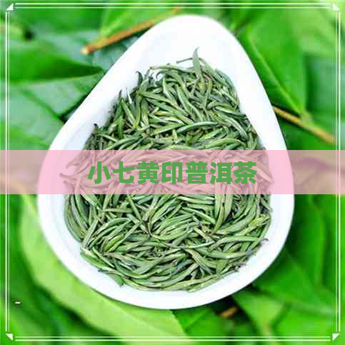 小七黄印普洱茶