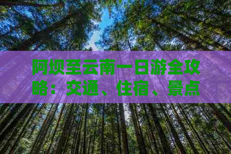 阿坝至云南一日游全攻略：交通、住宿、景点、行程安排一应俱全