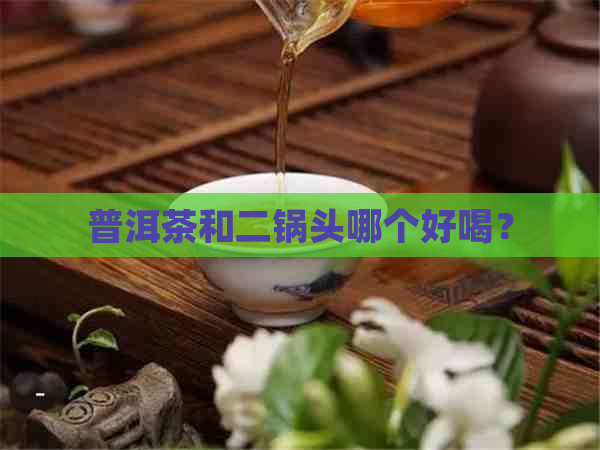 普洱茶和二锅头哪个好喝？