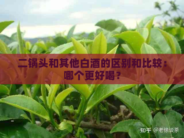 二锅头和其他白酒的区别和比较：哪个更好喝？