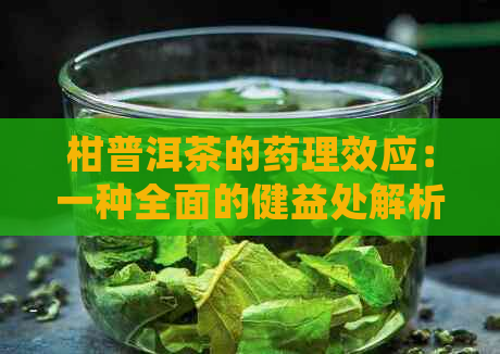 柑普洱茶的药理效应：一种全面的健益处解析，以及需要注意的潜在限制