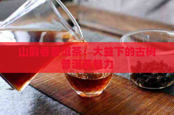 山韵香普洱茶：大益下的古树普洱茶魅力