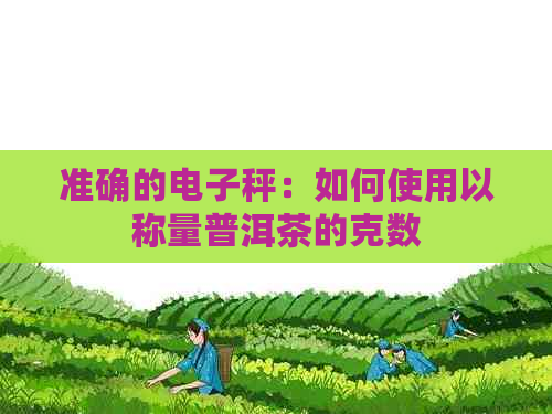 准确的电子秤：如何使用以称量普洱茶的克数