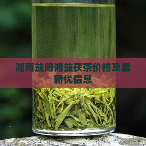 湖南益阳湘益茯茶价格及最新优信息