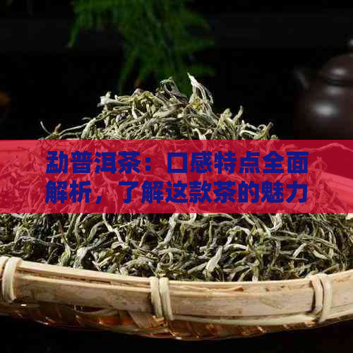 勐普洱茶：口感特点全面解析，了解这款茶的魅力所在